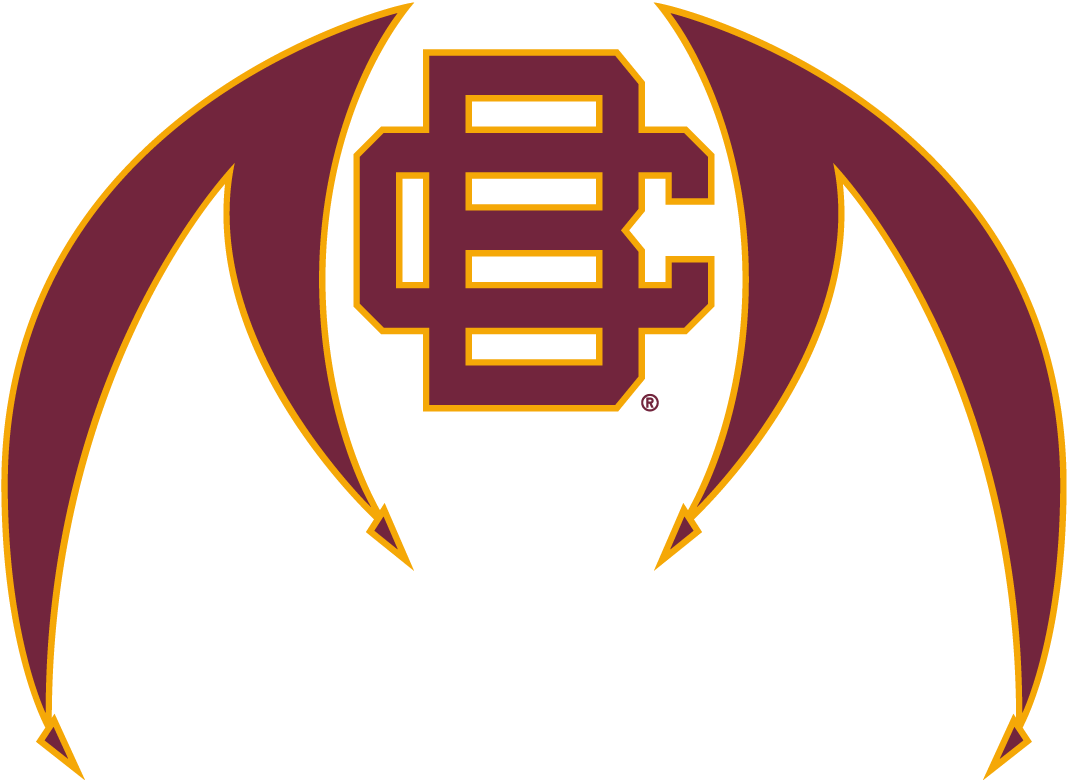 Bethune-Cookman Wildcats 2010-2015 Alternate Logo vinyl decal